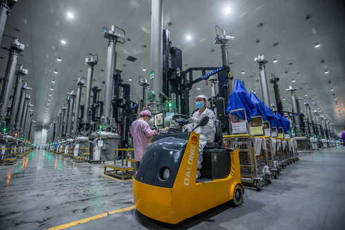 三年產(chǎn)值增長10倍 中國綠色硅谷強(qiáng)勢崛起丨新型工業(yè)化市州行樂山